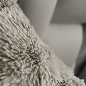 Meet your Posher, Darisha